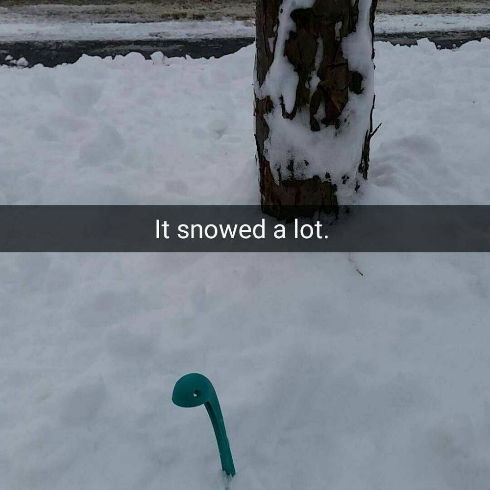 15 Potret irus beraksi bak manusia, followersnya ratusan ribu