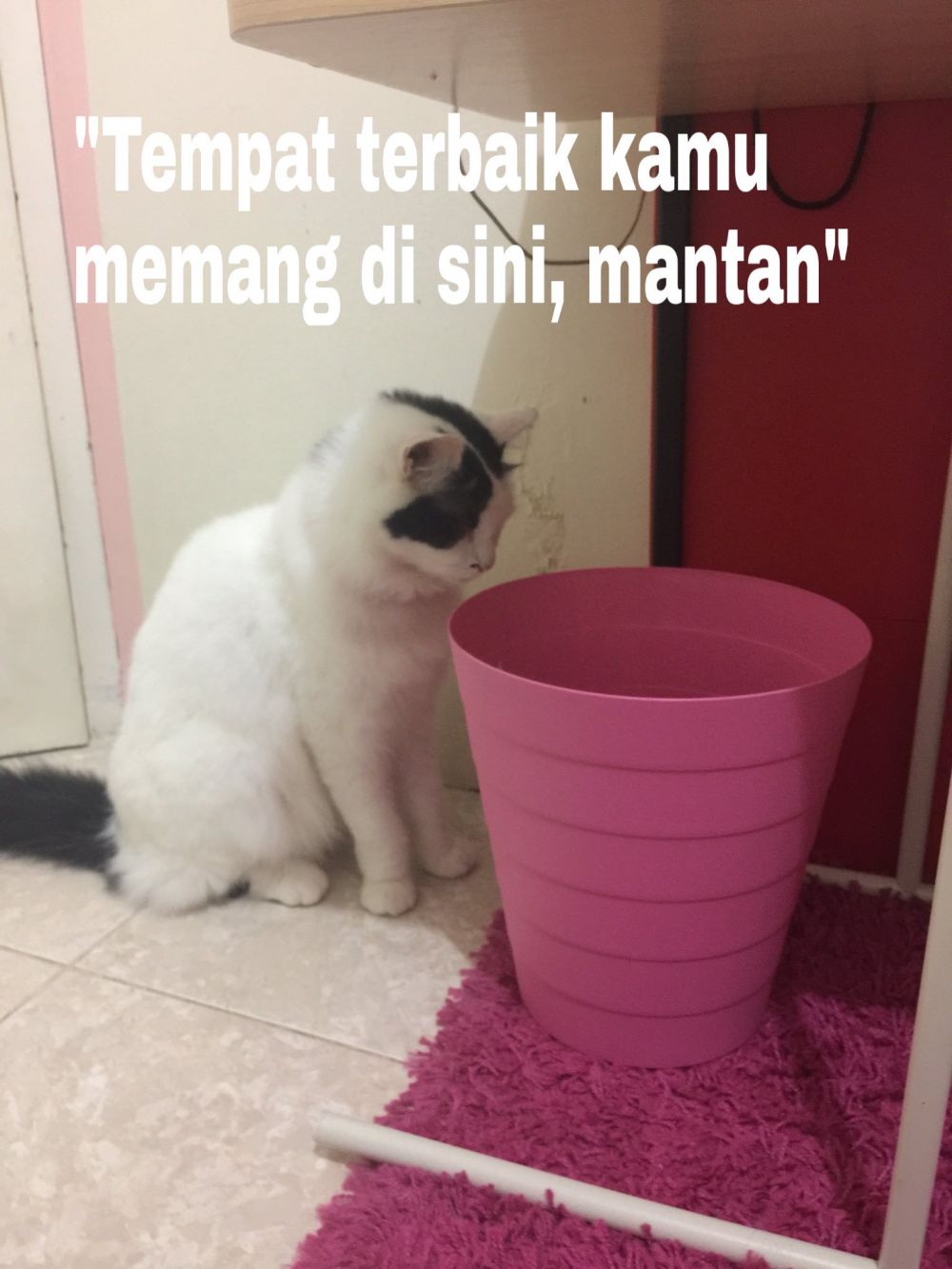 Koleksi Gambar Meme Kocak Ramadhan Terlengkap Freedocumentonline