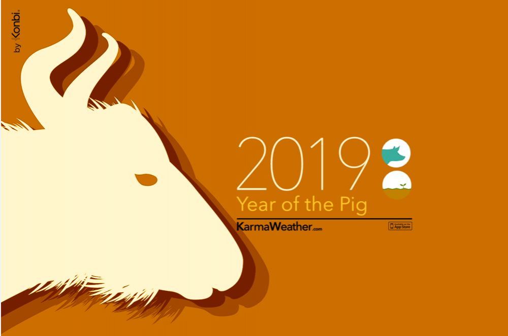 Tahun baru Imlek, ini peruntungan asmara 12 shio di tahun babi