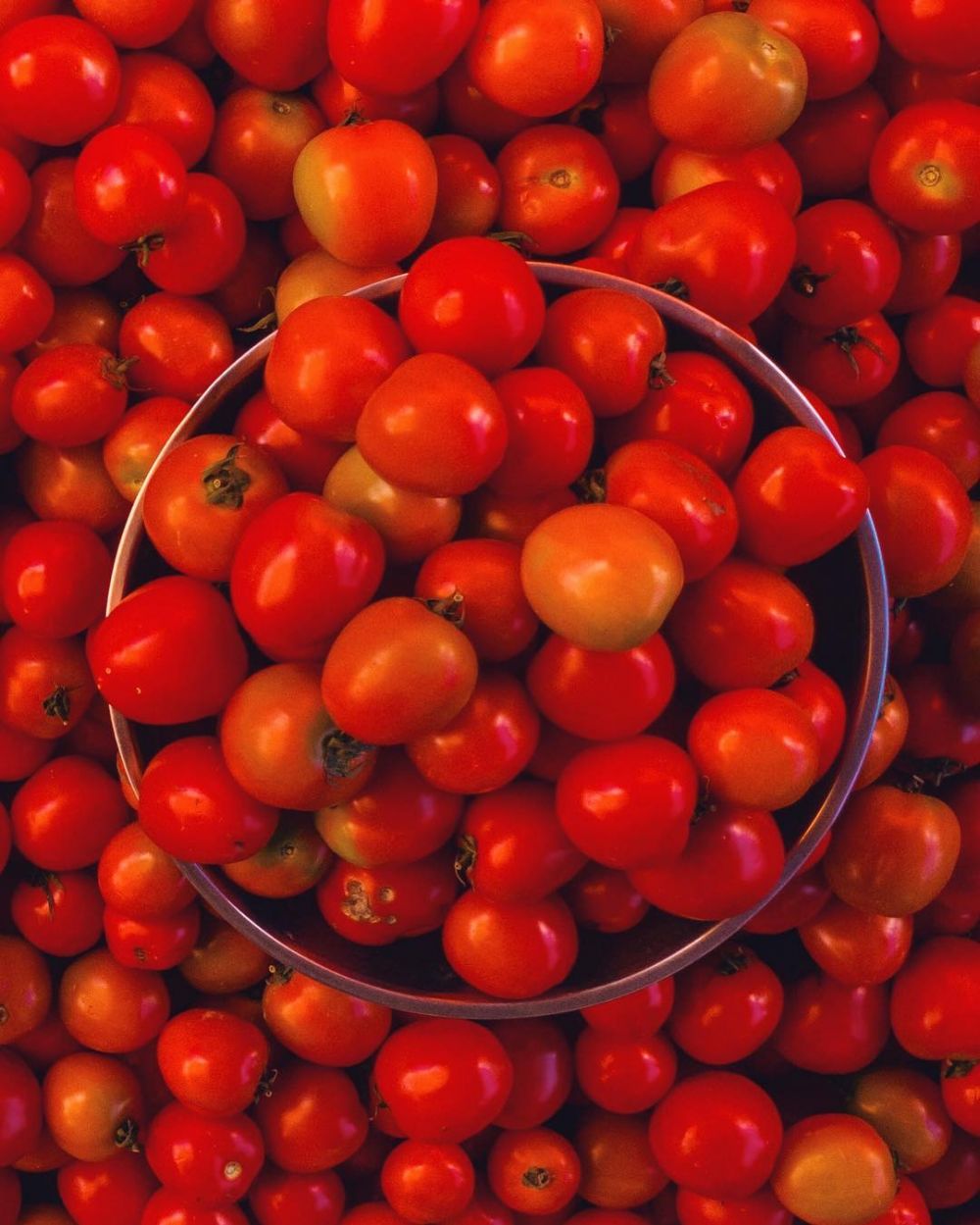 Musim demam berdarah, 7 makanan ini terbukti menaikkan trombosit