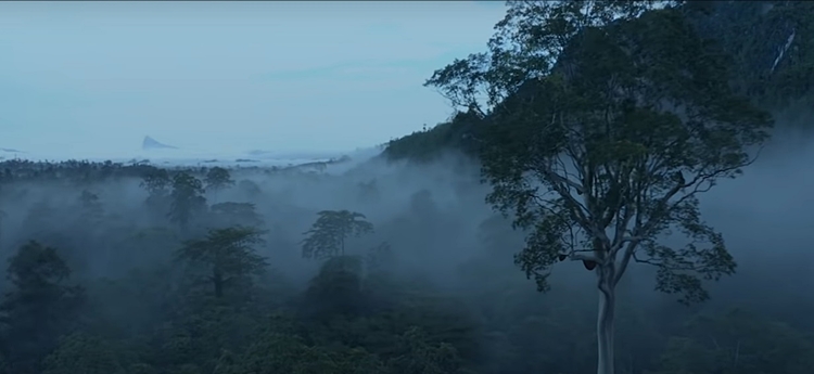 7 Fakta syuting web series Tepian Kelana, pemain dikencingi monyet