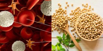 11 Makanan alami cegah kanker darah, penyakit Ani Yudhoyono
