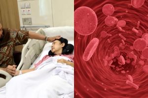 Fakta kanker darah yang perlu kamu tahu, penyakit Ani Yudhoyono