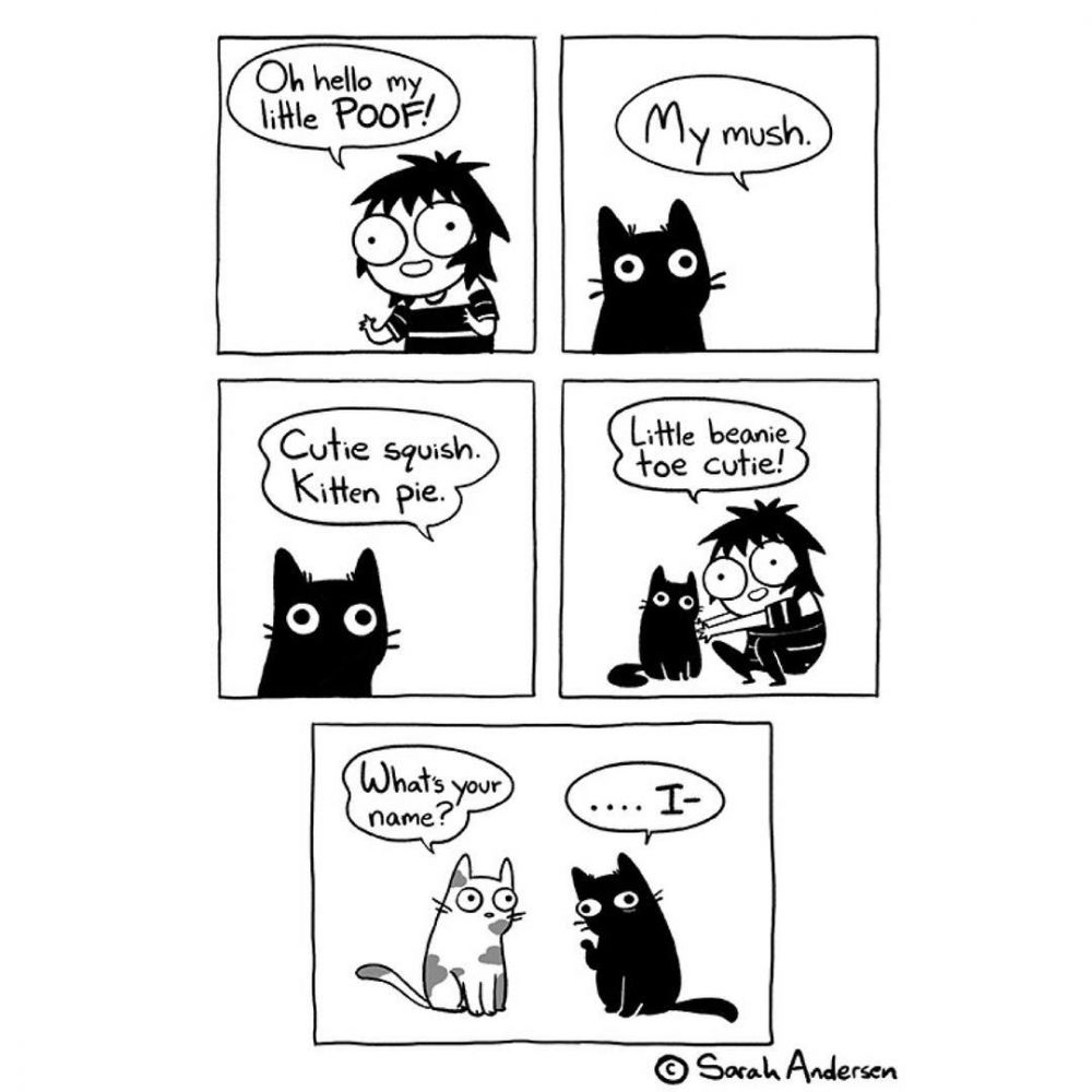 20+ Gambar Kartun Memberi Makan Kucing - Kumpulan Gambar Kartun