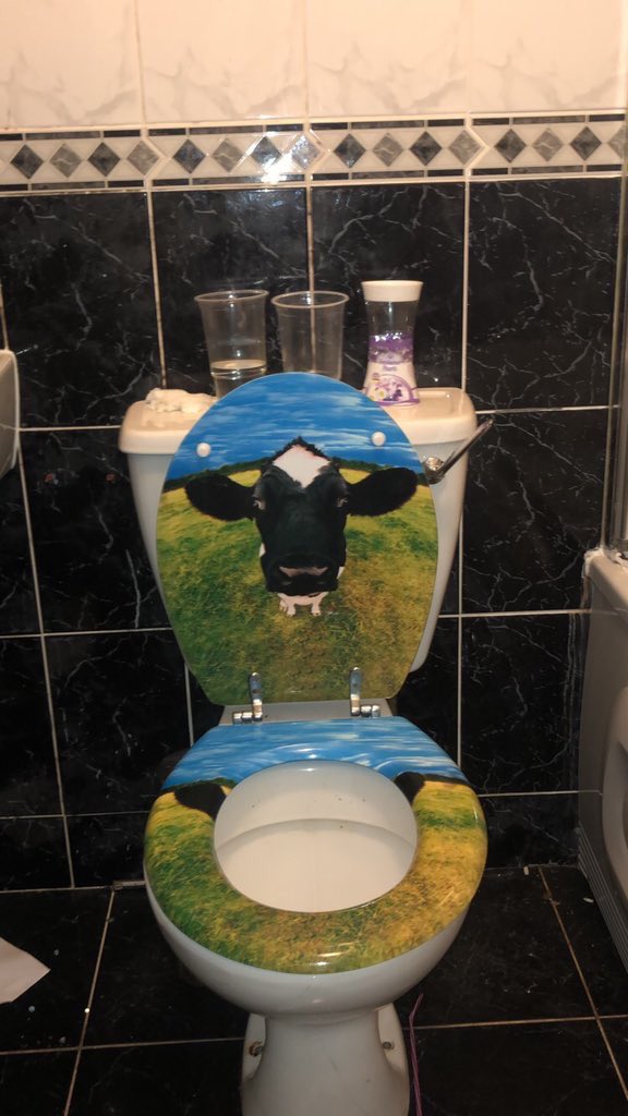 12 Kloset duduk ini diberi sentuhan seni, hasilnya keren abis