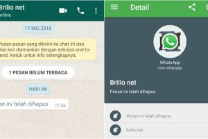 Cara mudah baca pesan WhatsApp yang dihapus, simpel & cepat