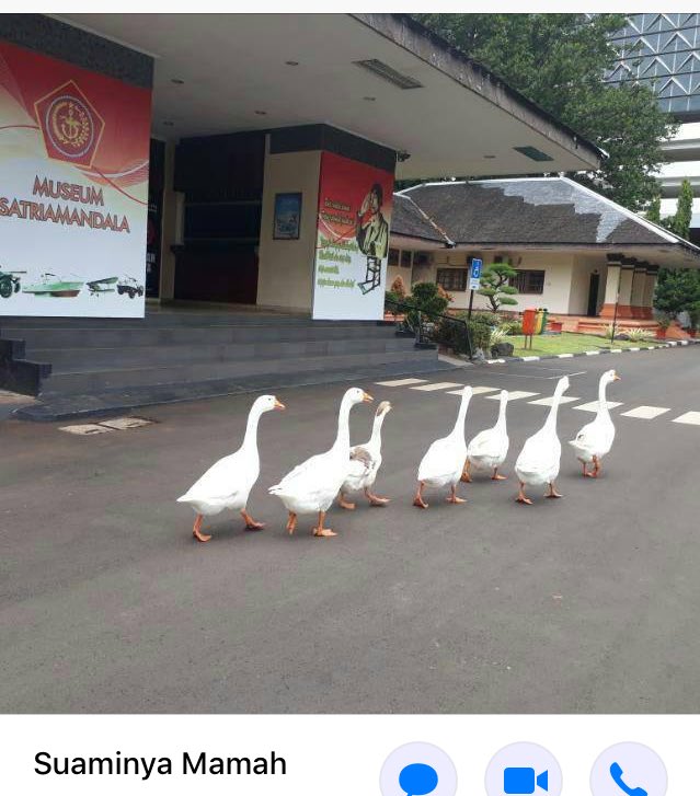 10 Foto profil WhatsApp bapak-bapak ini bikin susah nahan tawa