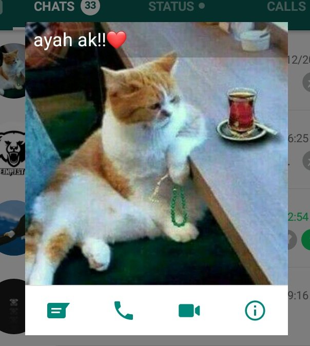 10 Foto profil WhatsApp bapak-bapak ini bikin susah nahan tawa