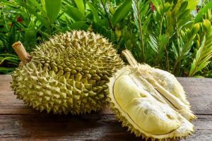 12 Manfaat durian bagi tubuh, bikin tambah semangat makannya