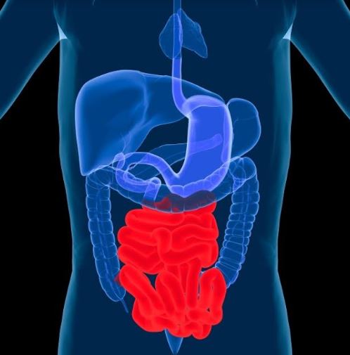 12 Manfaat durian bagi tubuh, bikin tambah semangat makannya