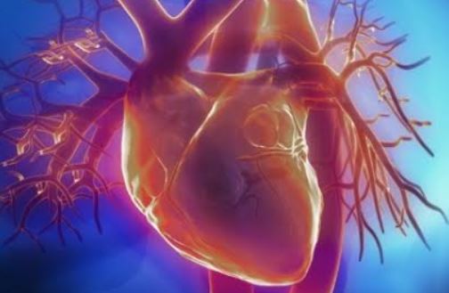 12 Manfaat durian bagi tubuh, bikin tambah semangat makannya