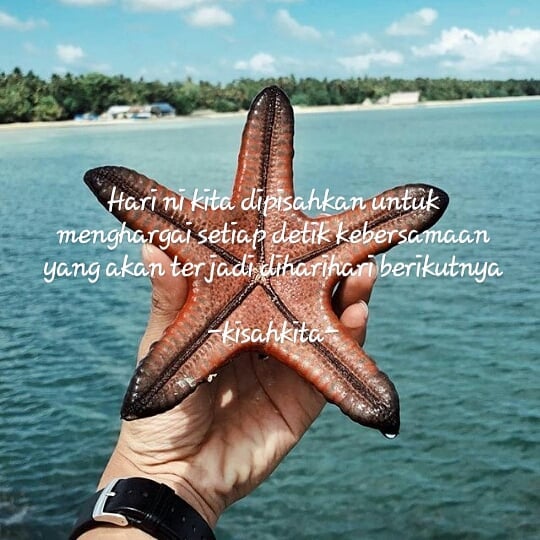 30 Kata bijak untuk para jomblo, bikin semangat ngejar gebetan