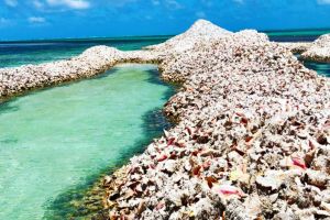 Pulau ini terbuat dari jutaan cangkang keong, ini 10 potretnya