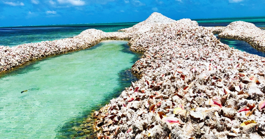 Pulau ini terbuat dari jutaan cangkang keong, ini 10 potretnya