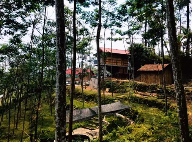 7 Potret rumah Dodit Mulyanto di hutan, ada arena pacuan kuda
