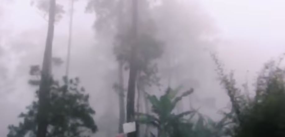 7 Potret rumah Dodit Mulyanto di hutan, ada arena pacuan kuda