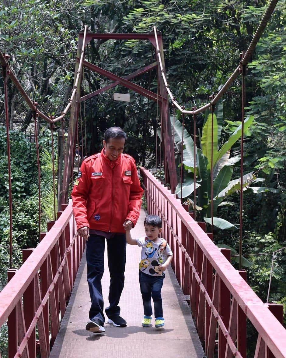 10 Gaya Jokowi momong cucu di Kebun Raya, aksi Jan Ethes bikin gemas