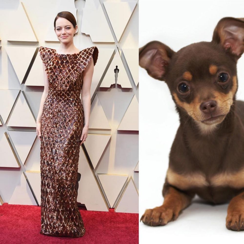 9 Cocoklogi busana Emma Stone di Oscar 2019, ada mirip salak
