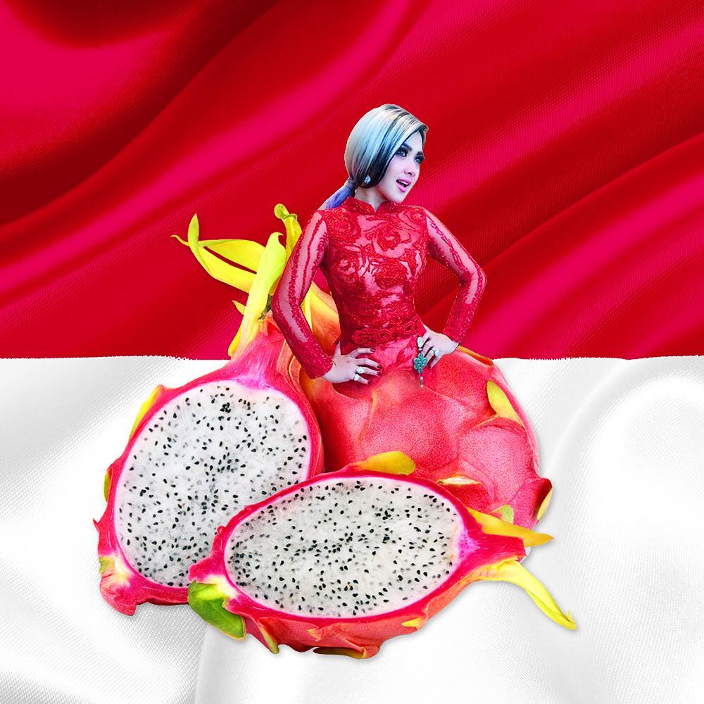 20 Foto editan lucu fashion Syahrini digabungkan dengan makanan