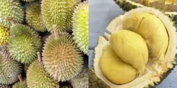8 Makanan & minuman ini tak boleh disantap bersama durian, bahaya