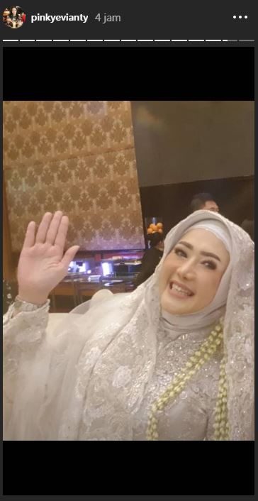 8 Potret pernikahan Pinky, kakak Maia Estianty yang memesona