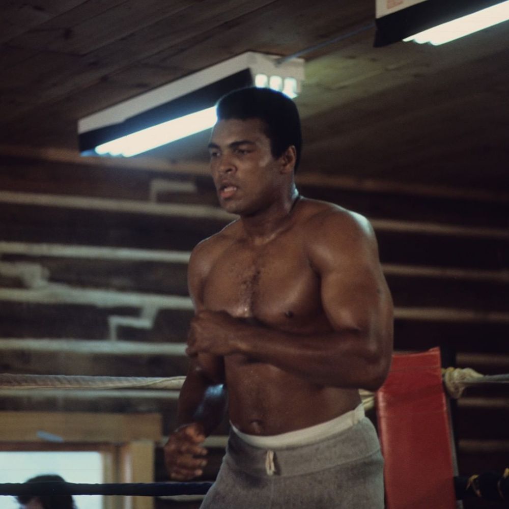 8 Petinju muslim yang sukses jadi juara dunia