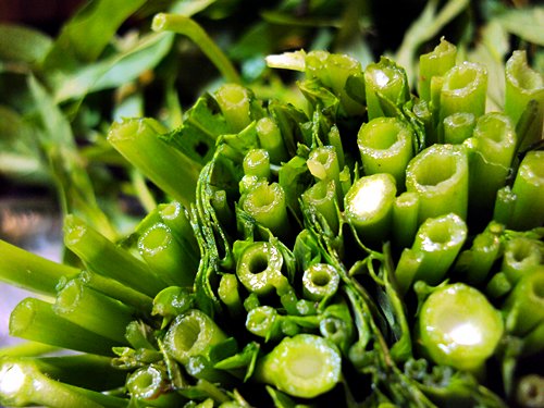 5 Fakta unik kangkung yang jarang diketahui, bisa cegah kanker