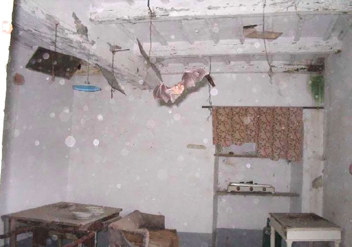 10 Foto ruang menyeramkan ditemukan agen perumahan, bikin merinding