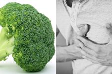 9 Manfaat brokoli bagi kesehatan, bisa cegah kanker