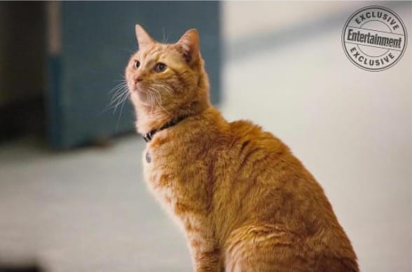 5 Fakta menarik film Captain Marvel, ditunggu-tunggu di 2019