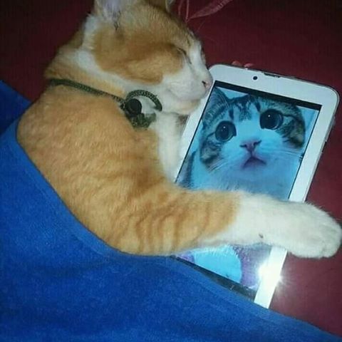 10 Momen lucu pejuang LDR ini bikin pengen ketawa