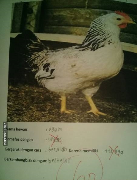 12 Jawaban soal ujian bergambar ini bikin tepuk jidat