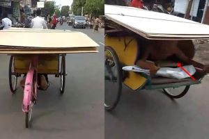 Kisah tukang becak susah payah bawa triplek ini bikin haru