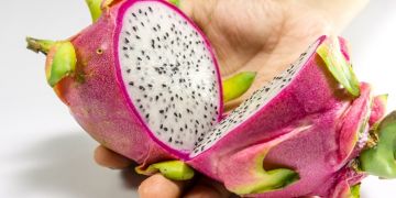 5 Manfaat kulit buah naga untuk kesehatan, bisa mencegah tumor