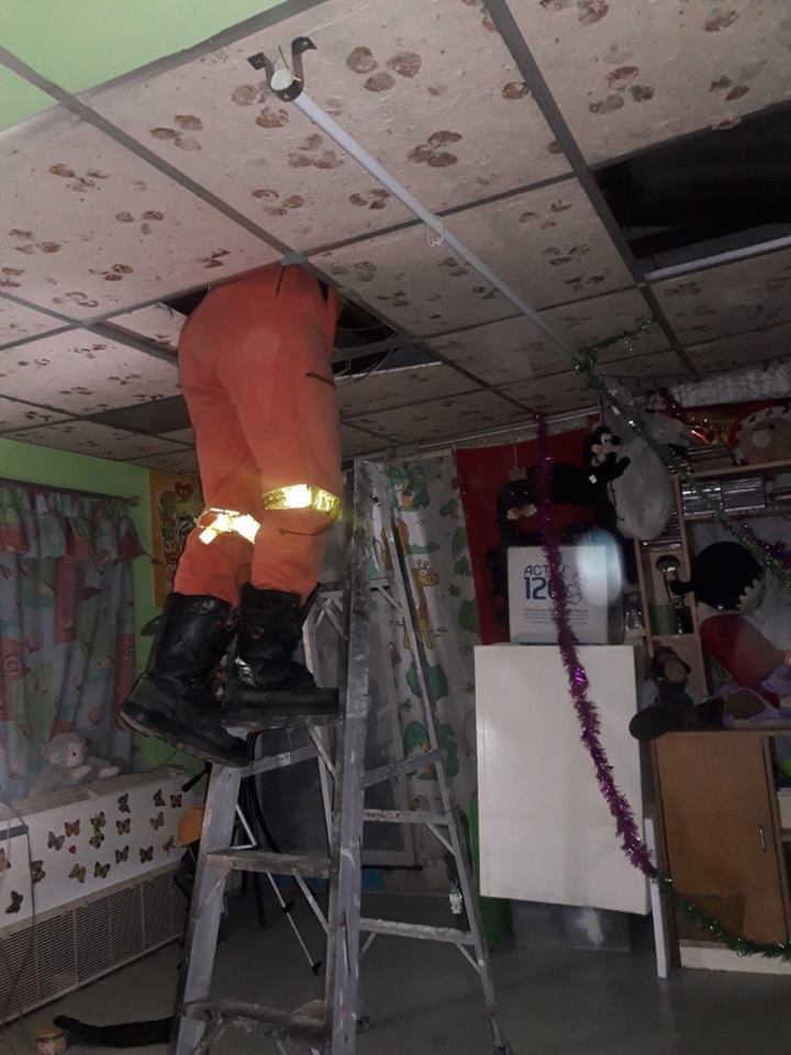 14 Potret evakuasi ular piton di atap rumah, panjangnya 6 meter