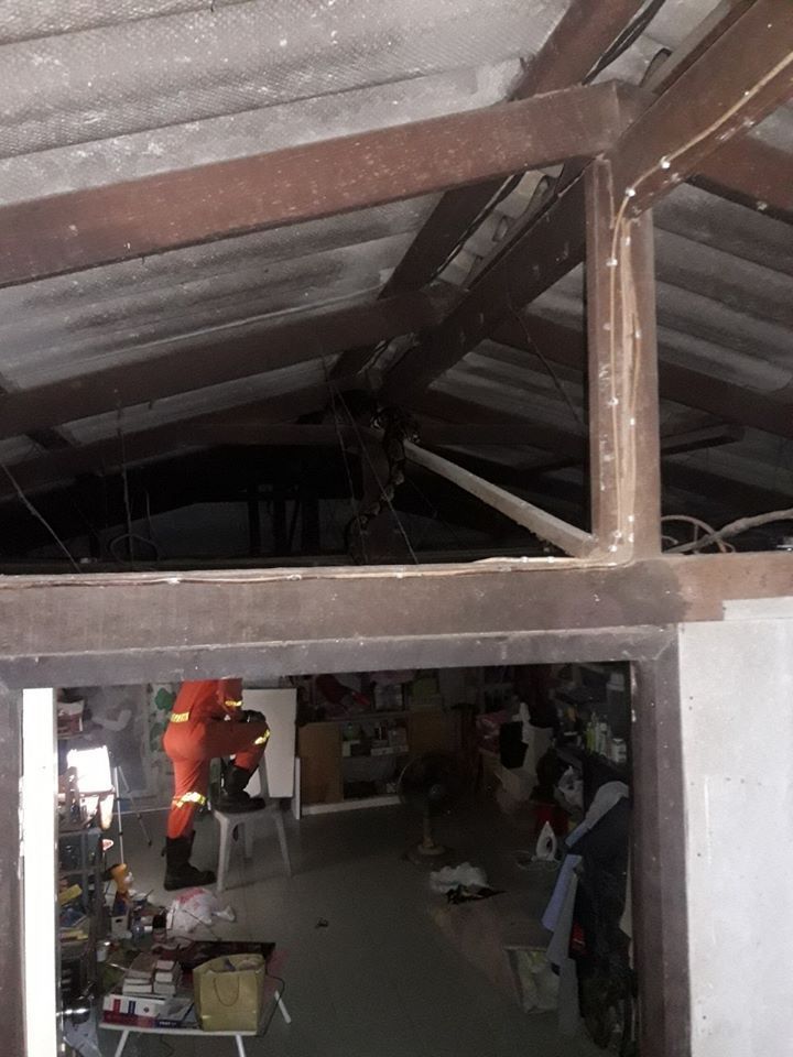 14 Potret evakuasi ular piton di atap rumah, panjangnya 6 meter