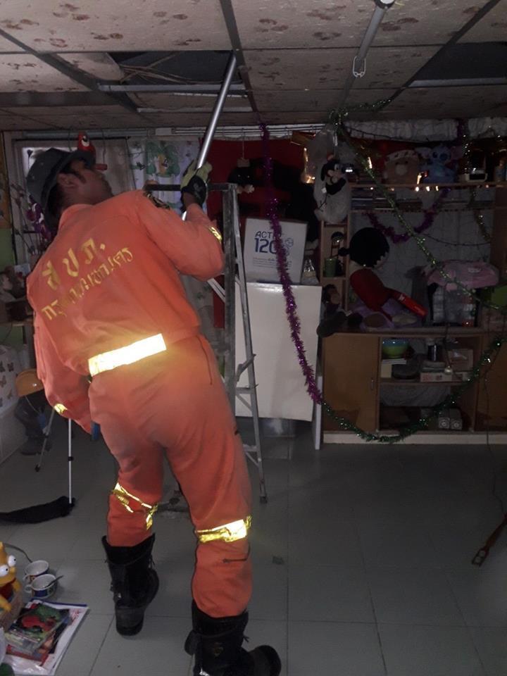 14 Potret evakuasi ular piton di atap rumah, panjangnya 6 meter