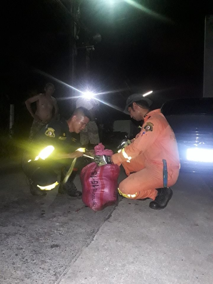 14 Potret evakuasi ular piton di atap rumah, panjangnya 6 meter