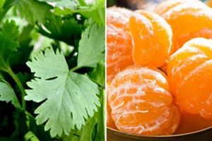 10 Makanan alami ini bisa hilangkan varises