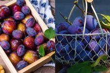 10 Manfaat buah plum bagi kesehatan, ampuh obati sembelit
