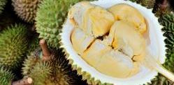 10 Jenis durian yang ada di Indonesia, banyak dicari orang