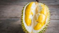 10 Jenis durian yang ada di Indonesia, banyak dicari orang