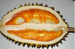 10 Jenis durian yang ada di Indonesia, banyak dicari orang