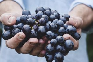 6 Buah yang ada di Alquran & manfaatnya untuk kesehatan