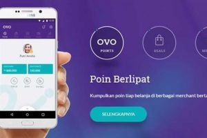OVO gandeng Bareksa tingkatkan kesadaran investasi masyarakat