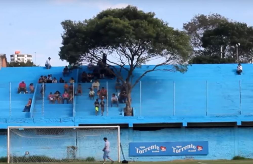 Bukan manusia, ini fans paling loyal klub sepak bola Paraguay