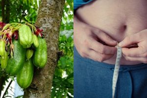 9 Manfaat belimbing wuluh untuk kesehatan dan kecantikan