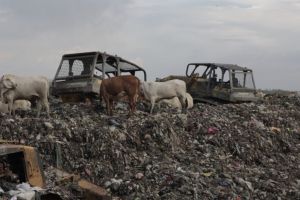 Jogja darurat sampah, protes warga berujung penutupan TPST Piyungan