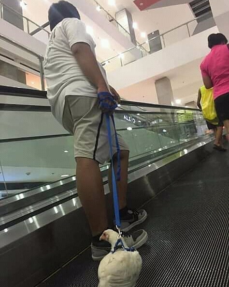 10 Potret aktivitas orang penyuka tantangan ini bikin tepuk jidat