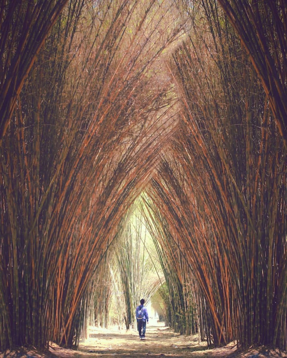 10 Wisata murah terbaik di Surabaya, tiketnya di bawah Rp 10.000